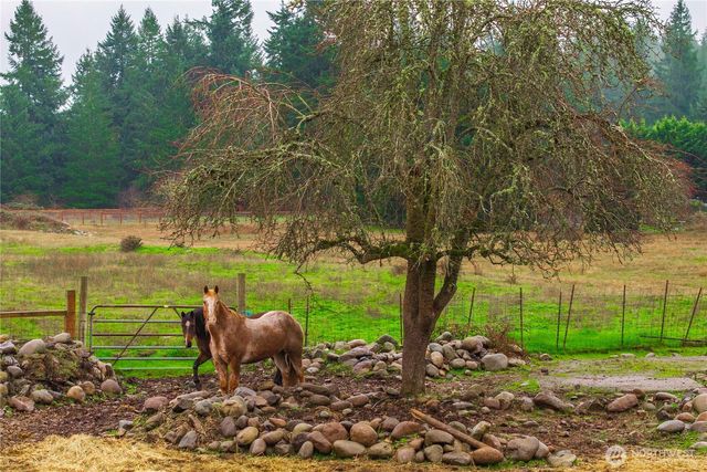 14435 Vail Cut Off Road SE, Rainier, WA 98576