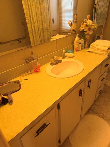 3301 ALT 19 267, Dunedin, FL 34698