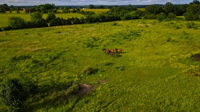 18080 County Road 361, Preston, MO 65732