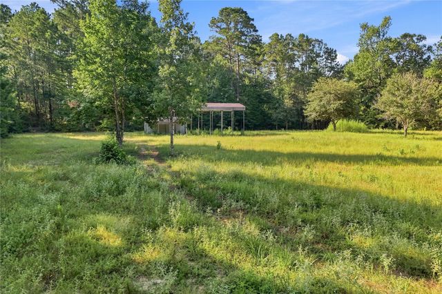 TBD Hughes Loop, Willis, TX 77378
