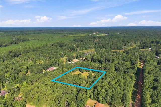 TBD Hughes Loop, Willis, TX 77378
