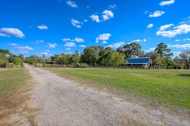 200 ACRES Spring Branch Road, Montgomery, TX 77316