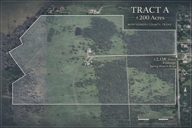 200 ACRES Spring Branch Road, Montgomery, TX 77316