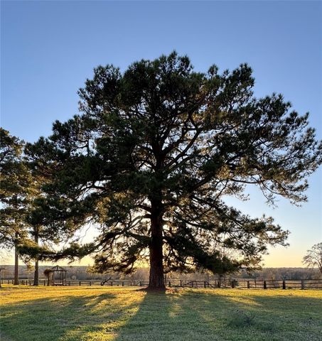 200 ACRES Spring Branch Road, Montgomery, TX 77316