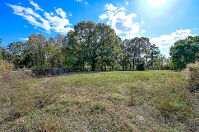 200 ACRES Spring Branch Road, Montgomery, TX 77316