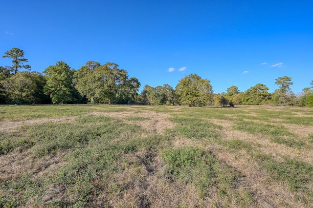 200 ACRES Spring Branch Road, Montgomery, TX 77316