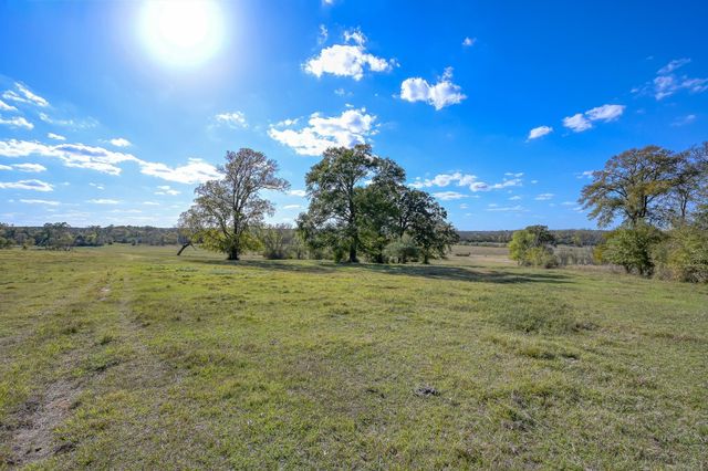 200 ACRES Spring Branch Road, Montgomery, TX 77316
