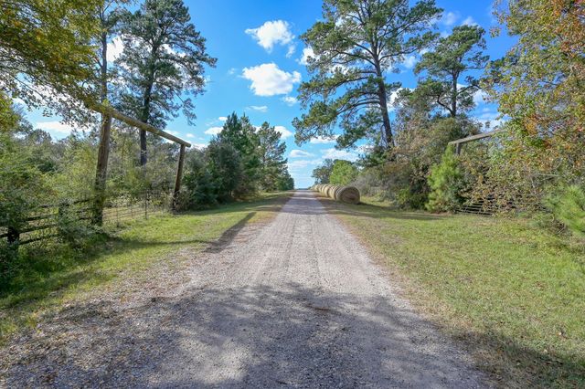 200 ACRES Spring Branch Road, Montgomery, TX 77316