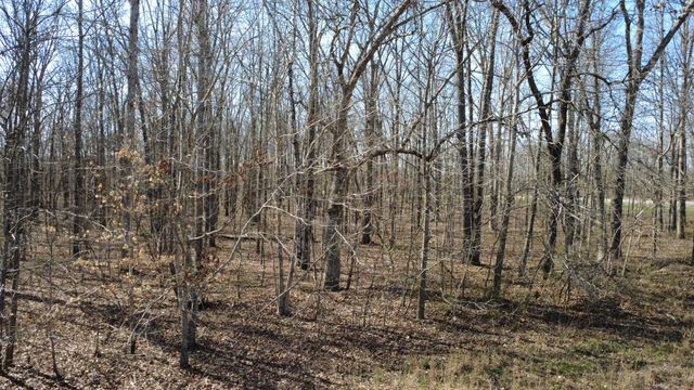 0 Summertown Hwy, Summertown, TN 38483