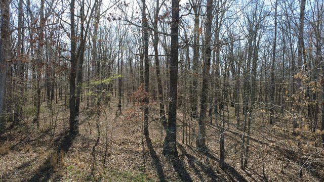 0 Summertown Hwy, Summertown, TN 38483