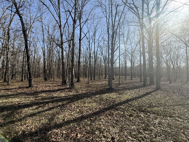 0 Summertown Hwy, Summertown, TN 38483