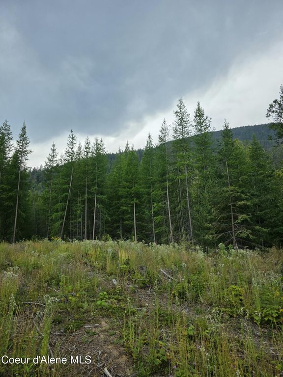 NNA WESTSIDE RD PARCEL10, Bonners Ferry, ID 83805 photo 1