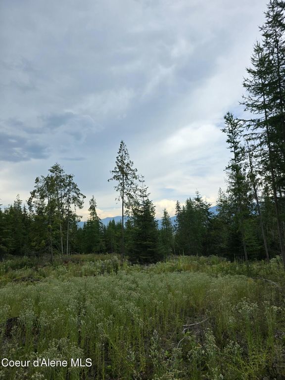 NNA WESTSIDE RD PARCEL10, Bonners Ferry, ID 83805 photo 2