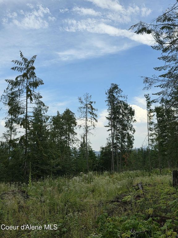 NNA WESTSIDE RD PARCEL10, Bonners Ferry, ID 83805 photo 3