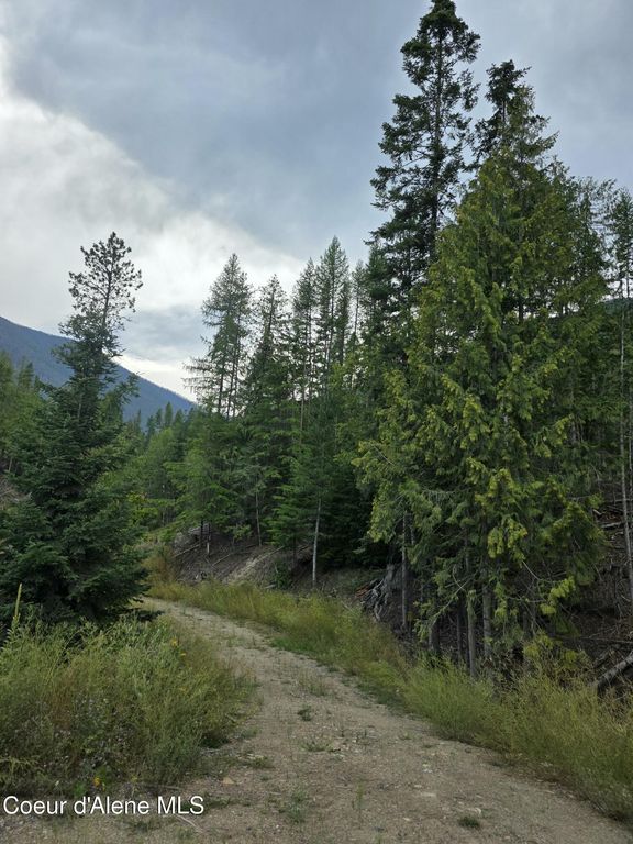 NNA WESTSIDE RD PARCEL10, Bonners Ferry, ID 83805 photo 4