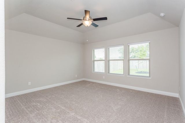 16 Florentino Vine Place, The Woodlands, TX 77354