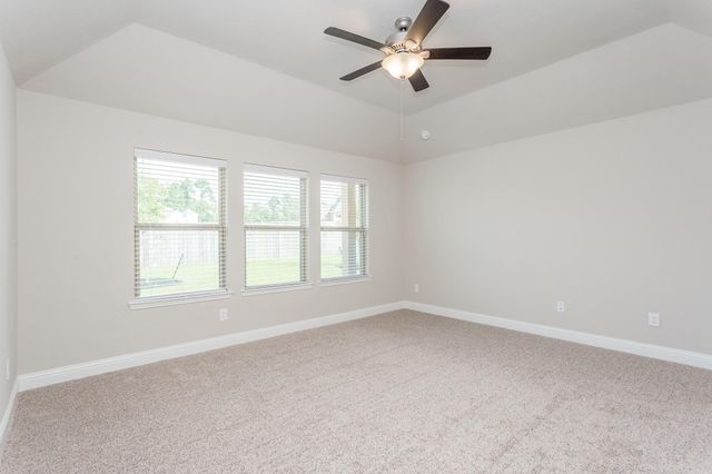 16 Florentino Vine Place, The Woodlands, TX 77354