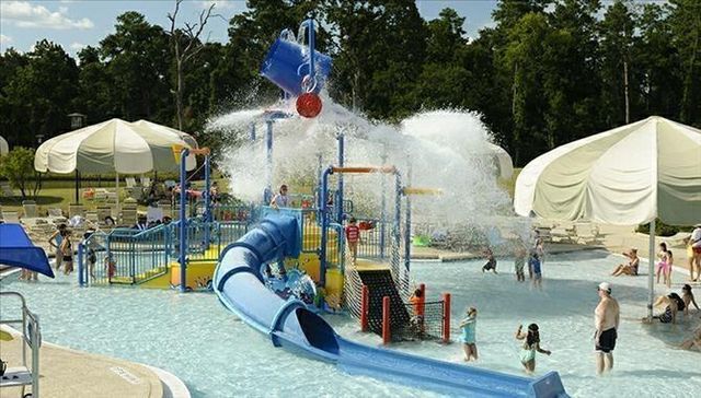 16 Florentino Vine Place, The Woodlands, TX 77354