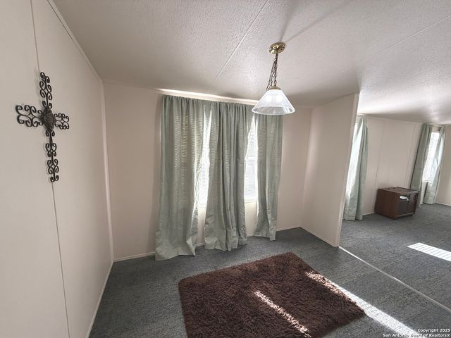 1310 Springwood, Spring Branch, TX 78070