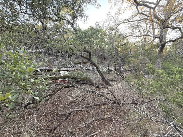 1310 Springwood, Spring Branch, TX 78070