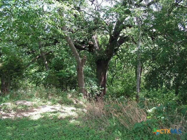 106 Gbrv Loop, Canyon Lake, TX 78133