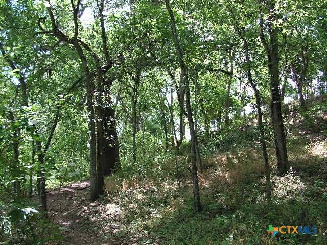 106 Gbrv Loop, Canyon Lake, TX 78133