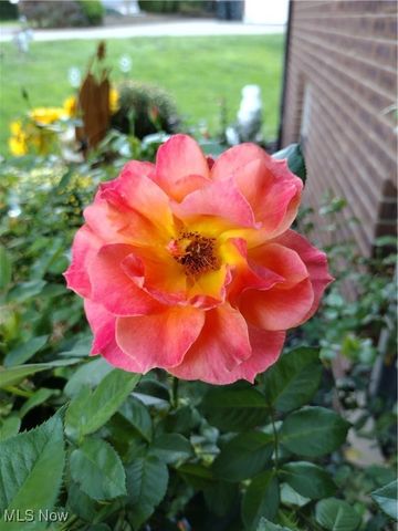 20 Mustang Acres, Parkersburg, WV 26104