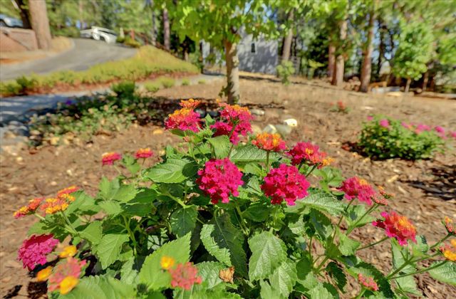 10971 Juanita Ct, Grass Valley, CA 95949