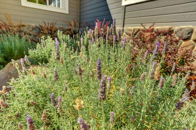 10971 Juanita Ct, Grass Valley, CA 95949