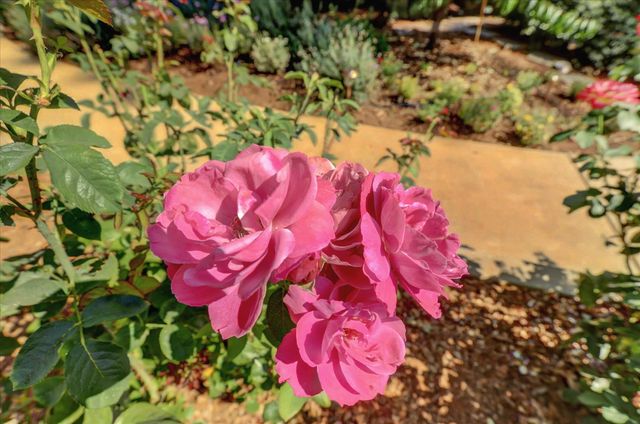 10971 Juanita Ct, Grass Valley, CA 95949