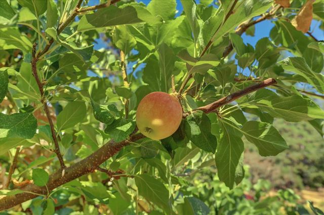 10971 Juanita Ct, Grass Valley, CA 95949