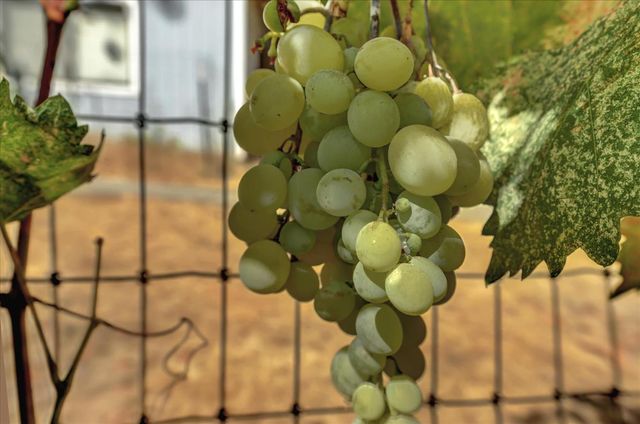 10971 Juanita Ct, Grass Valley, CA 95949