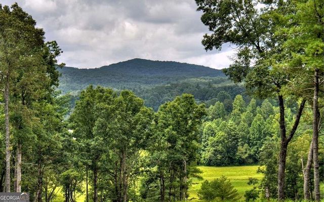 LOT 222 Ridge Drive, Morganton, GA 30560