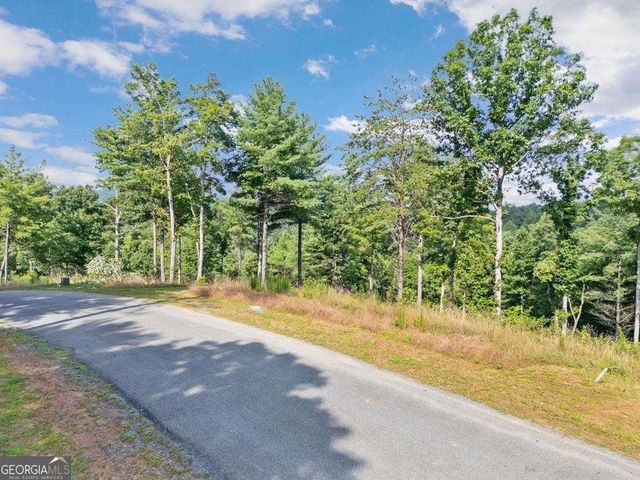 LOT 222 Ridge Drive, Morganton, GA 30560