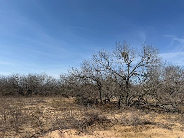 1420 Barth Rd, Dale, TX 78616