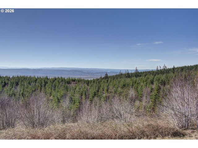 130 UPLAND Dr, Woodland, WA 98674