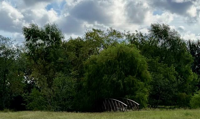 12421 Roy Road CR105, Brookside, TX 77581