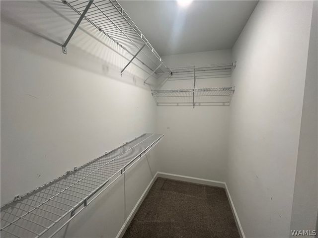 104 Bradford, Tuscaloosa, AL 35405