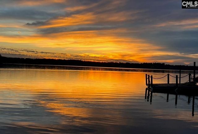 315 Old Landing Court, Chapin, SC 29036