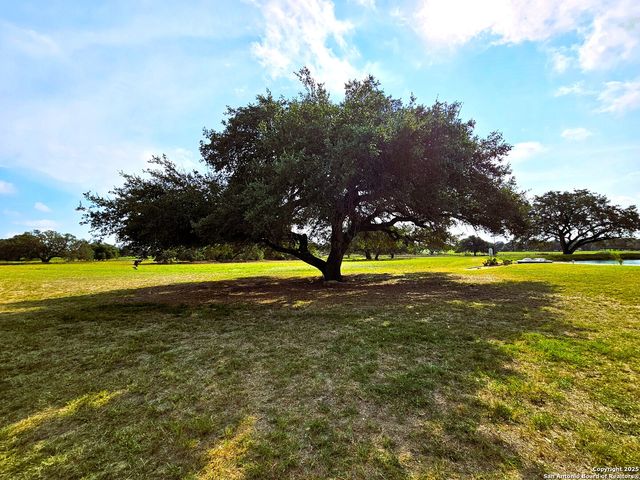 803 County Road 6612, Devine, TX 78016