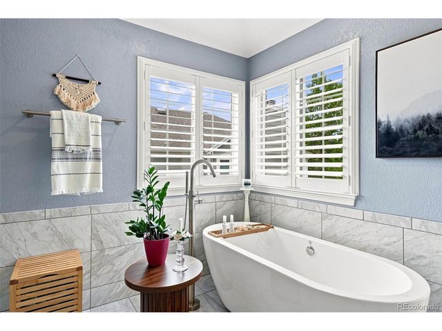 10670 Singleleaf Ct, Parker, CO 80134