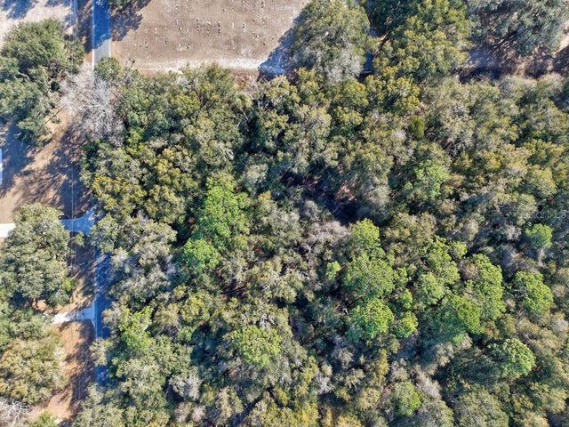 SE 129 COURT, Ocklawaha, FL 32179