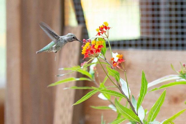 108 Santa Maria Avenue, Portola Valley, CA 94028