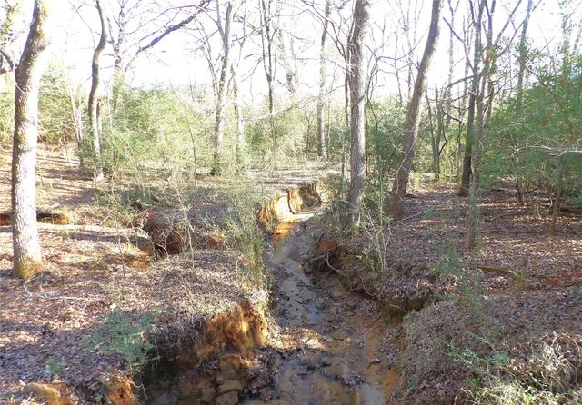 TBD Fm 1272, Grapeland, TX 75844