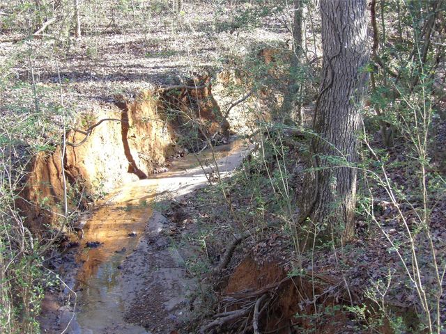 TBD Fm 1272, Grapeland, TX 75844