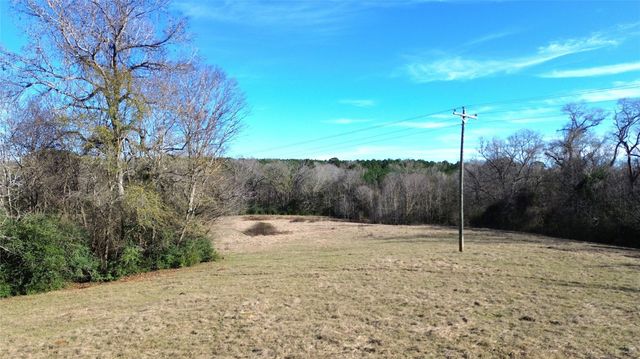 TBD Fm 1272, Grapeland, TX 75844