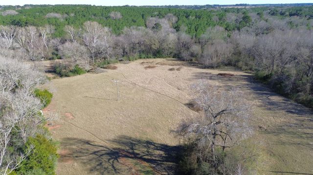 TBD Fm 1272, Grapeland, TX 75844