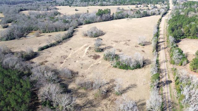 TBD Fm 1272, Grapeland, TX 75844