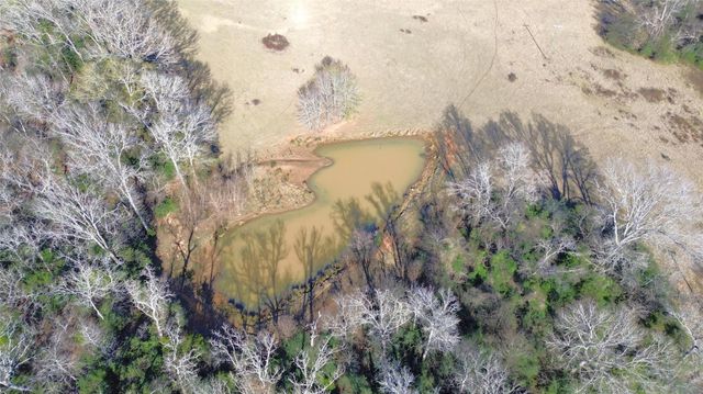 TBD Fm 1272, Grapeland, TX 75844