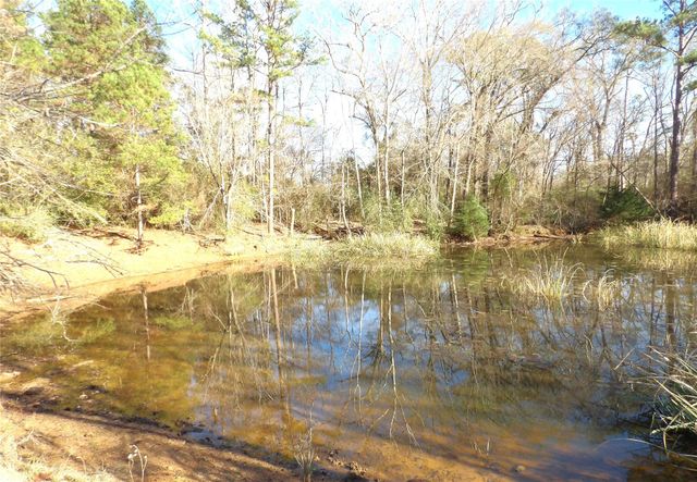 TBD Fm 1272, Grapeland, TX 75844